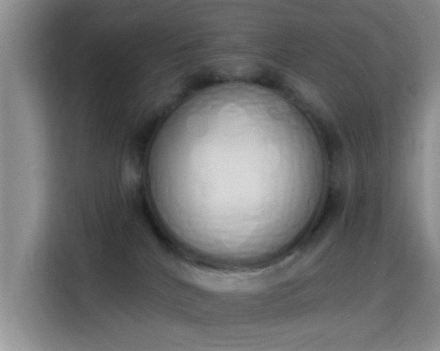 X0000115710040200911191258