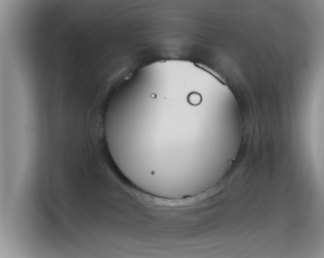 X0000115710043200911191258