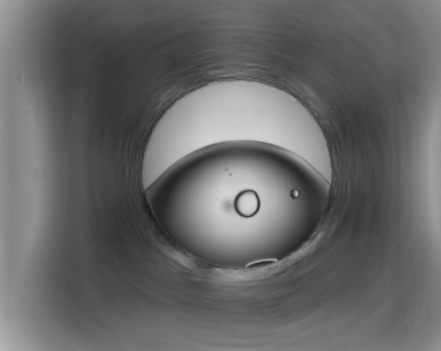 X0000115710045200911191258