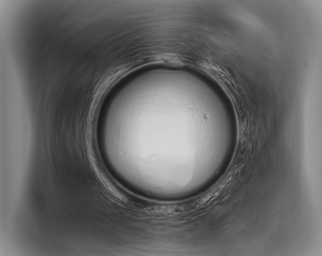 X0000115710049200911191258