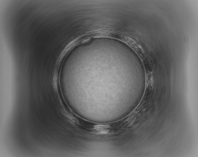 X0000115710051200911191258