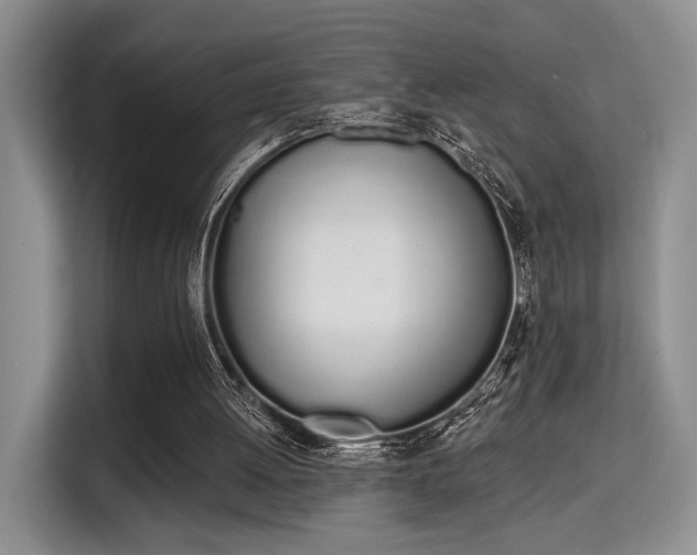 X0000115710052200911191258