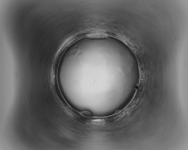 X0000115710053200911191258