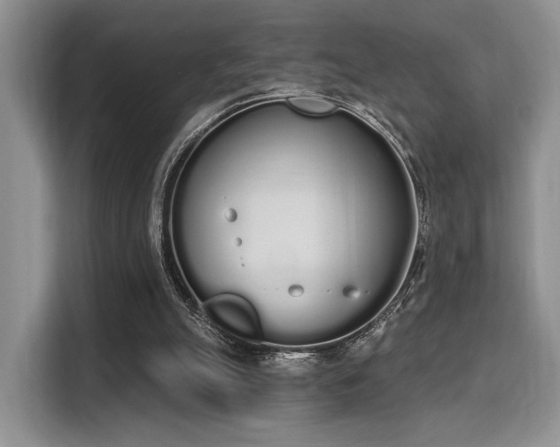 X0000115710055200911191258