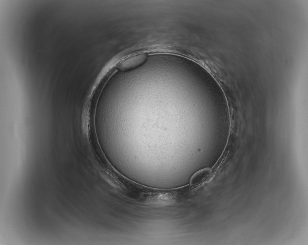 X0000115710056200911191258