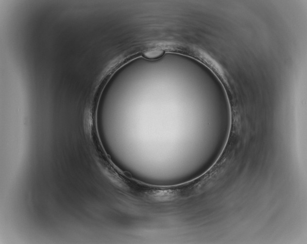 X0000115710059200911191258