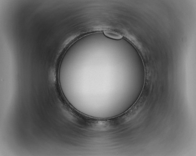 X0000115710060200911191258