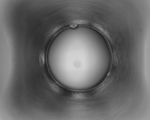 X0000115710062200911191258