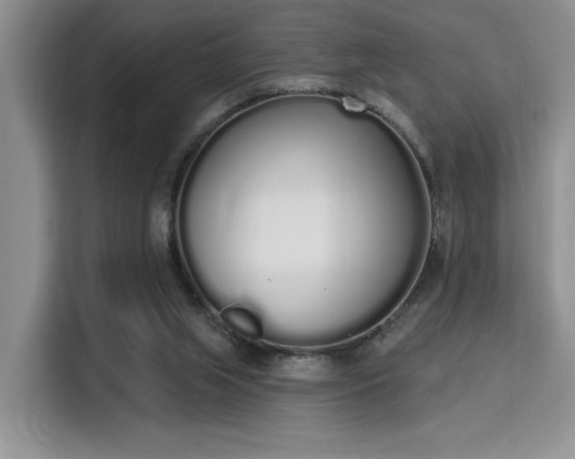 X0000115710063200911191258