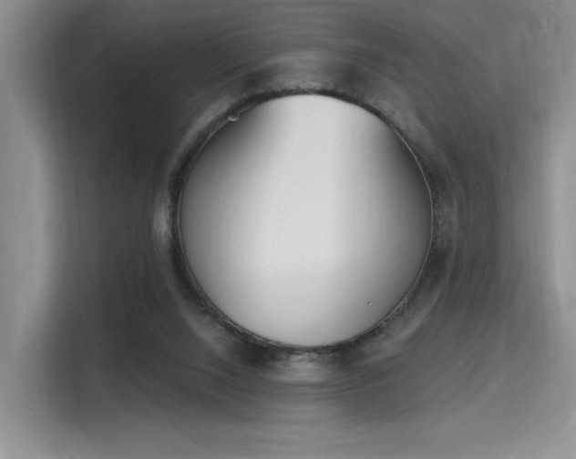 X0000115710064200911191258