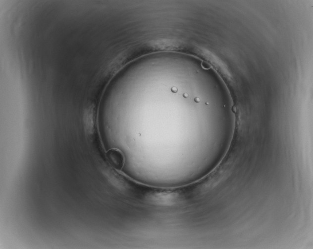 X0000115710065200911191258