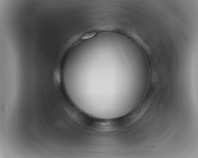 X0000115710068200911191258