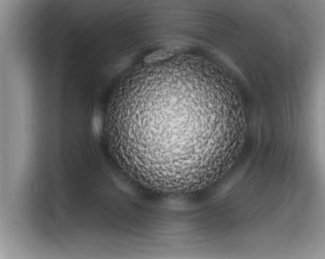 X0000115710076200911191258