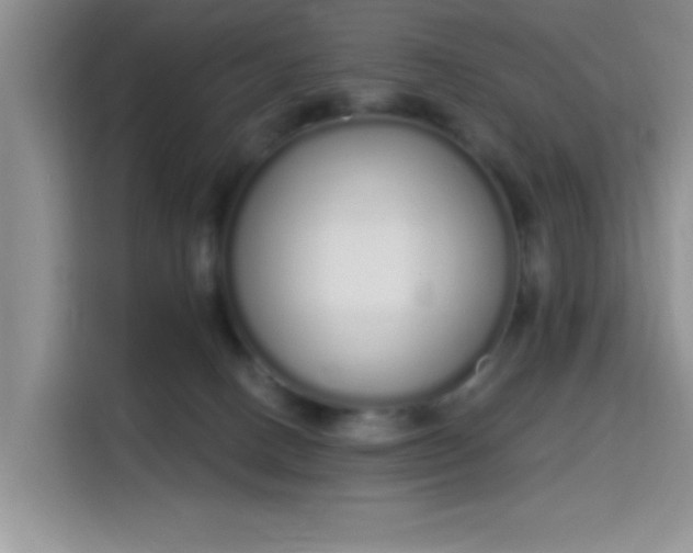 X0000115710082200911191258