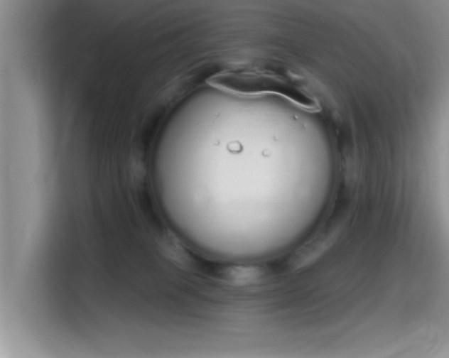 X0000115710085200911191258