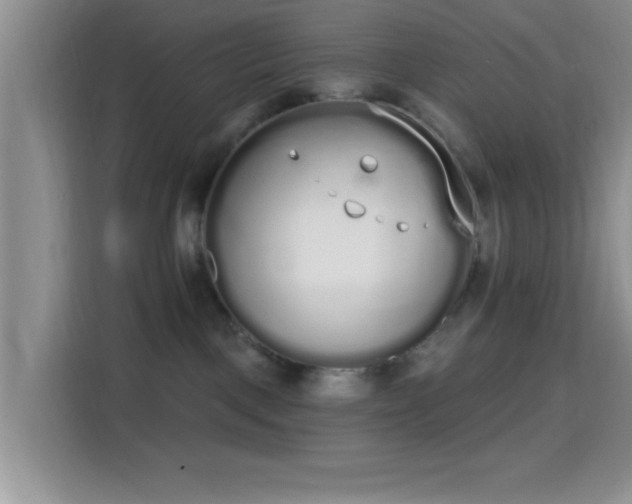 X0000115710093200911191258