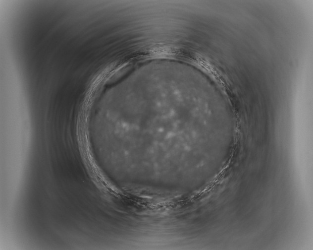 X0000115710097200911191258