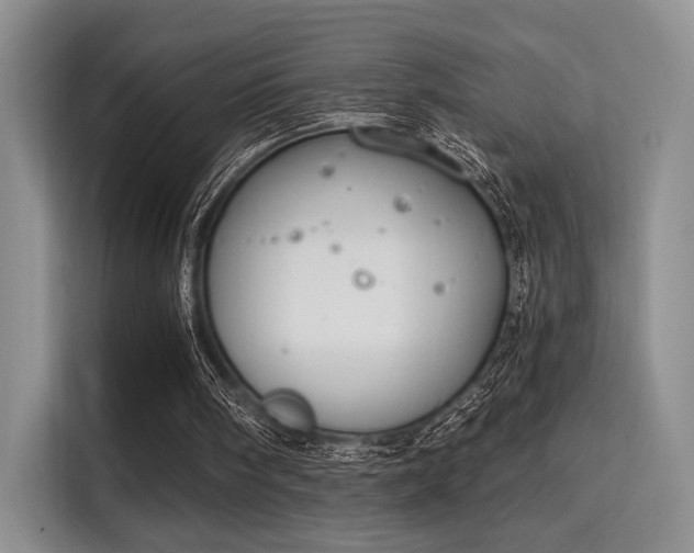 X0000115710098200911191258