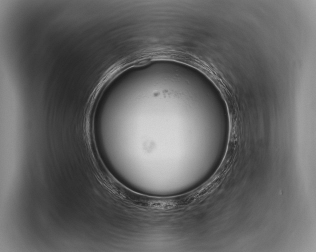 X0000115710099200911191258