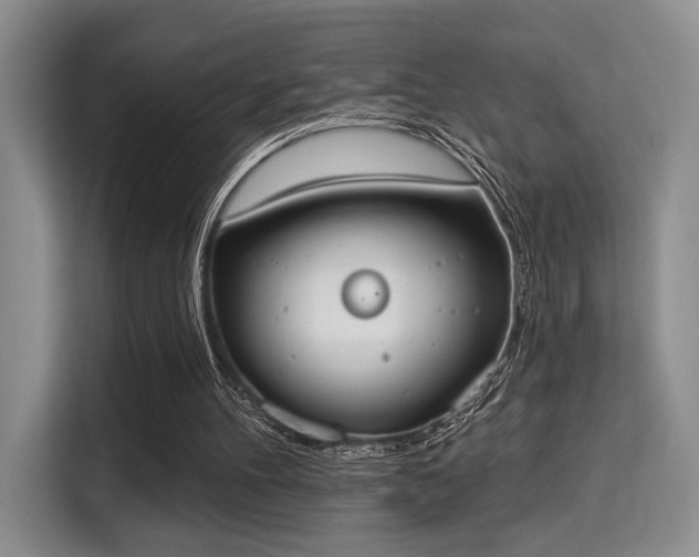 X0000115710100200911191258