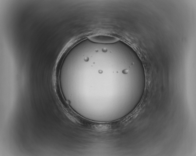 X0000115710102200911191258