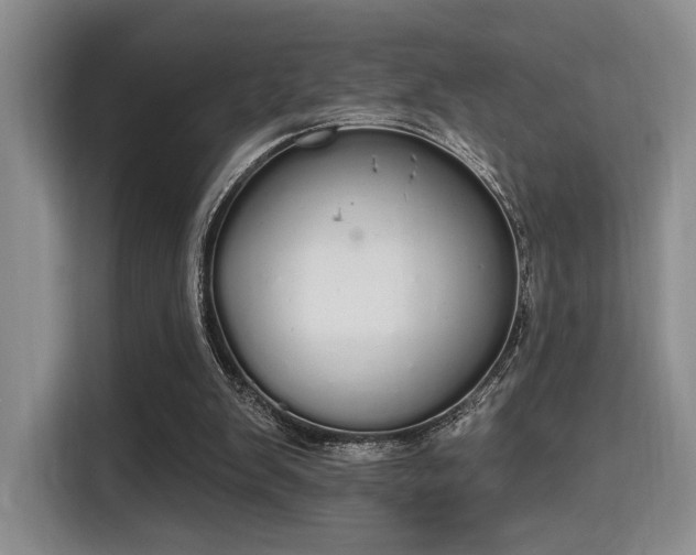 X0000115710103200911191258