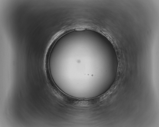 X0000115710104200911191258