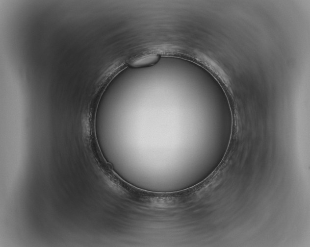 X0000115710105200911191258