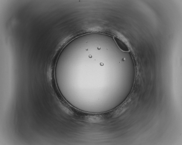 X0000115710106200911191258