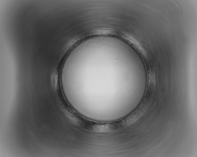 X0000115710110200911191257