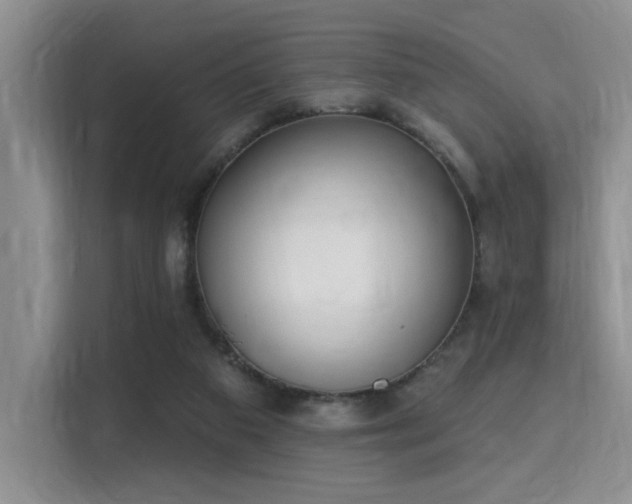 X0000115710113200911191257