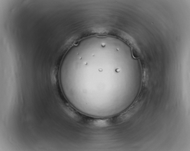 X0000115710114200911191257