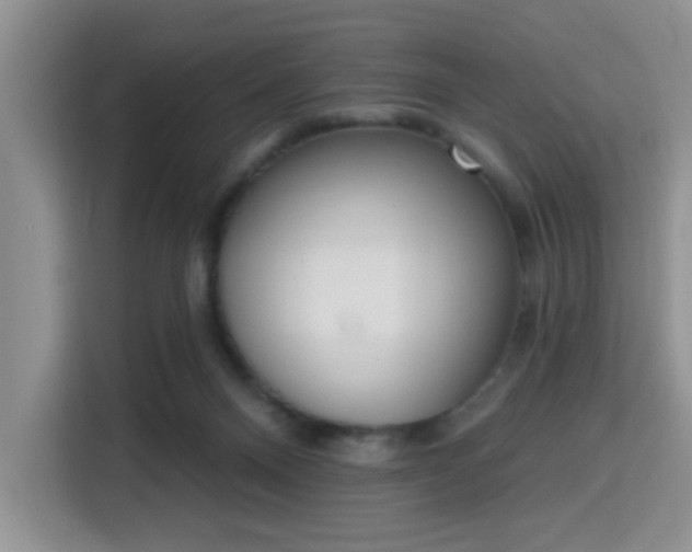 X0000115710120200911191257