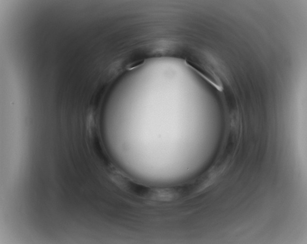 X0000115710127200911191257