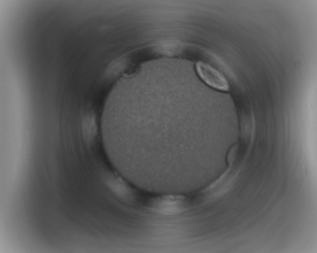 X0000115710128200911191257