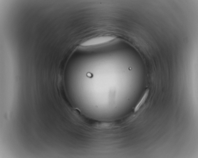 X0000115710129200911191257