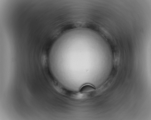 X0000115710130200911191257