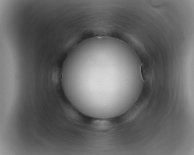 X0000115710133200911191257