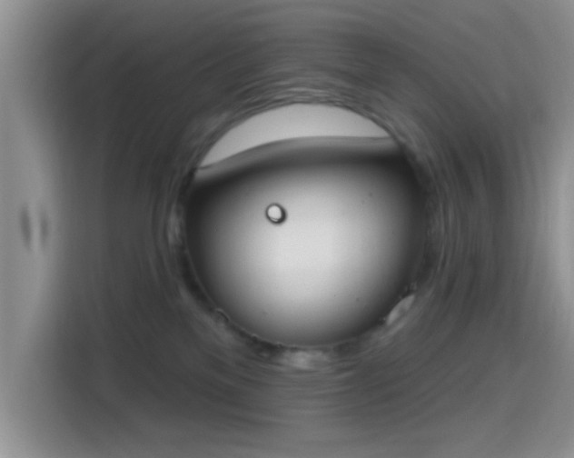 X0000115710137200911191257