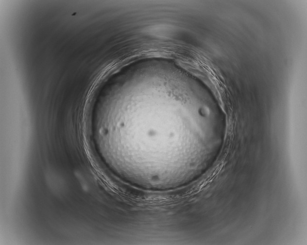 X0000115710145200911191256