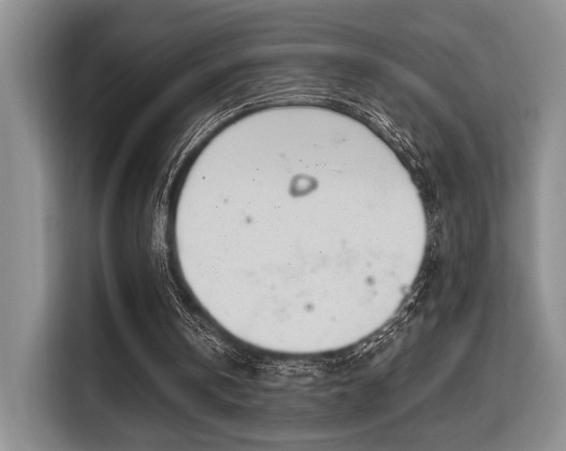 X0000115710146200911191256