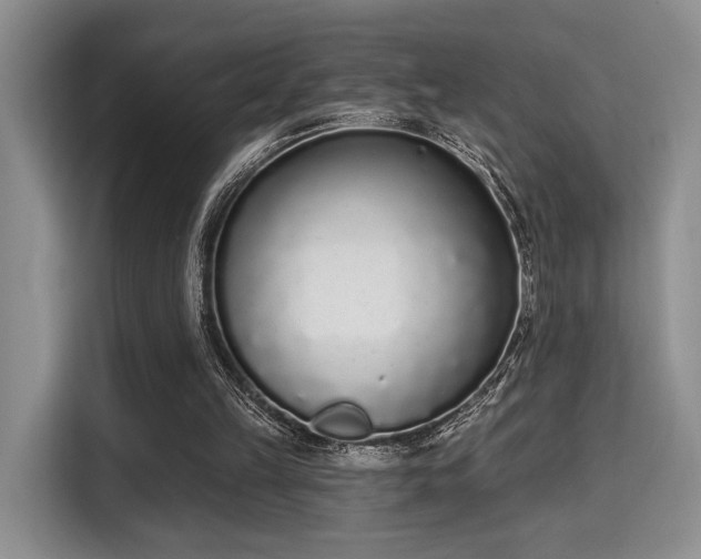 X0000115710149200911191256