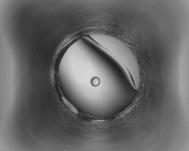 X0000115710150200911191256