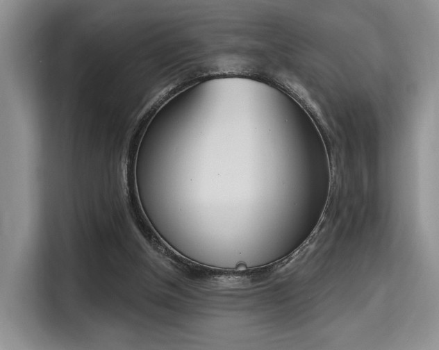 X0000115710154200911191257