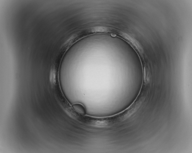 X0000115710157200911191257