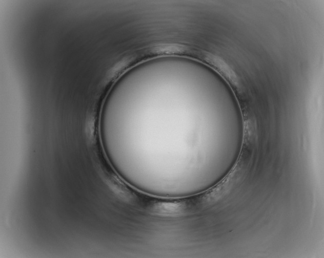 X0000115710159200911191257