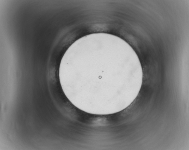 X0000115710162200911191257