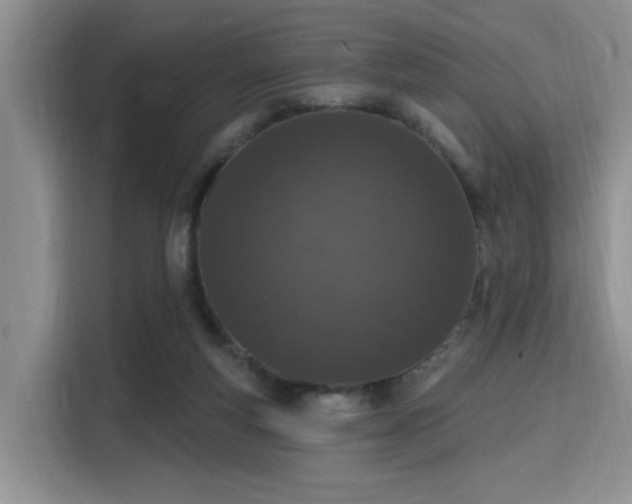 X0000115710163200911191257