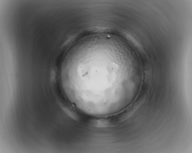 X0000115710165200911191257