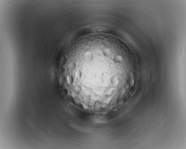 X0000115710169200911191257